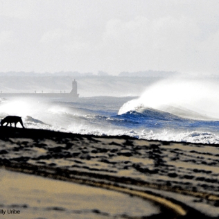 Surf photografy WU PHOTO © Willy Uribe