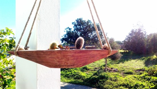 Del lat. cactus 'cardo', y este del gr. κάκτος káktos. 1. m. Planta de la familia de las cactáceas, de tallo globoso con espinas, propia de climas desérticos.